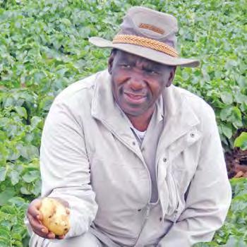 The story of Solly and his passion for potatoes Solly was born in 1956 and is a successful producer of seed and table potatoes.