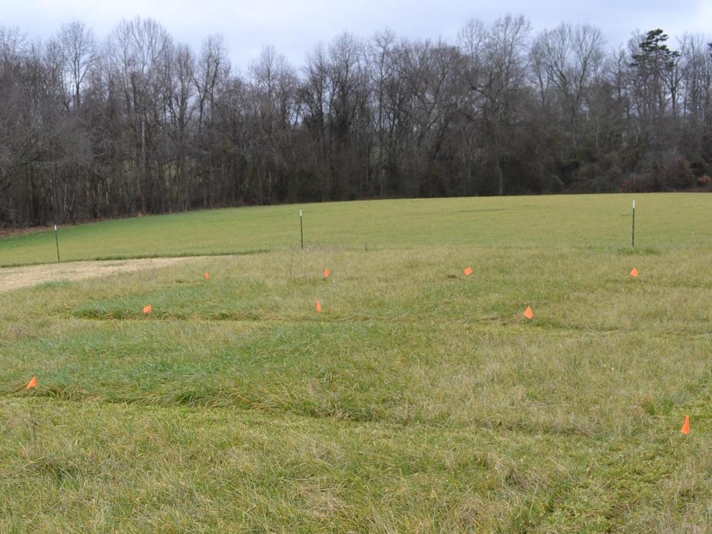 Assessm Tall fescue ent ofnitrogen availability trials in fa l stockpiled An example from site near Butner NC 3000 Forage Dry Matter