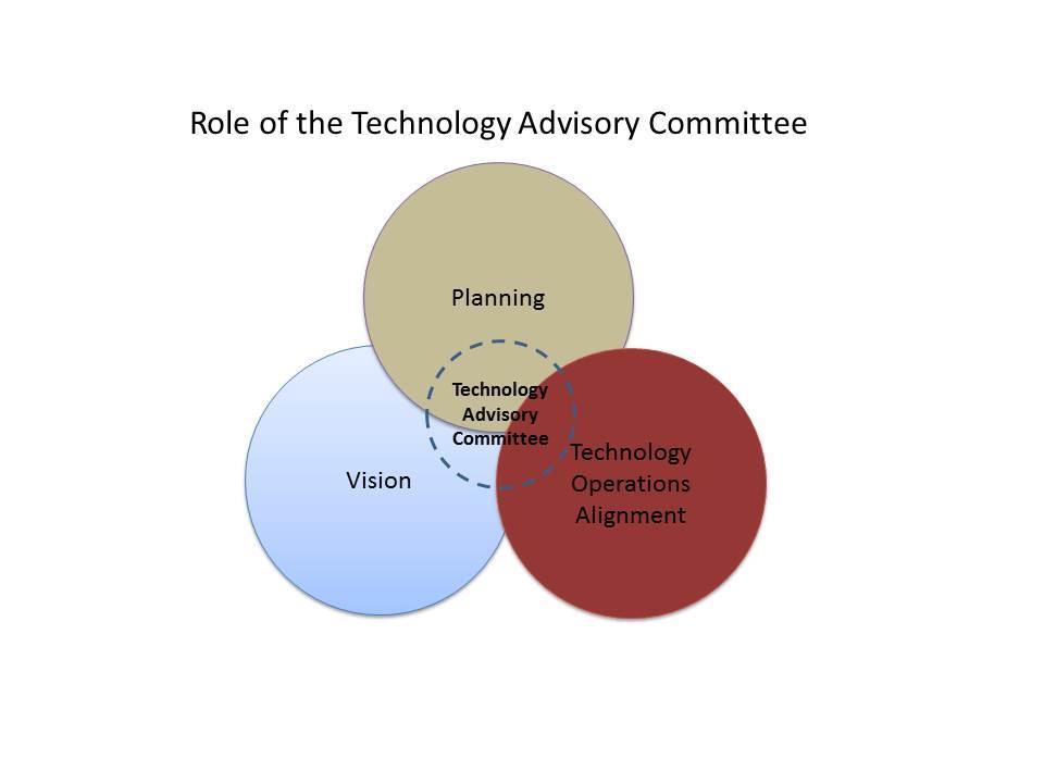 IT Governance Framework: Primary Roles Role of the State CIO Enabling legislation for MN.