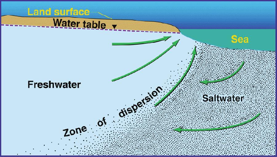 Salinity Salt in the ocean has built over time as water moves through the hydrologic cycle Salinity is the amount of salts dissolved