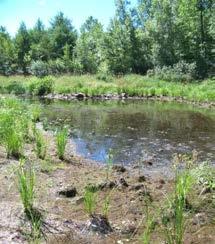 Hydroperiod is how long a wetland holds water