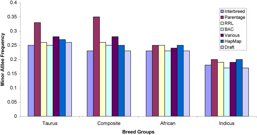 Figure 3. Average MAF by SNP source (see Methods) demonstrates the utility of the assay in taurine, composite, African and indicine cattle. doi:10.1371/journal.pone.0005350.