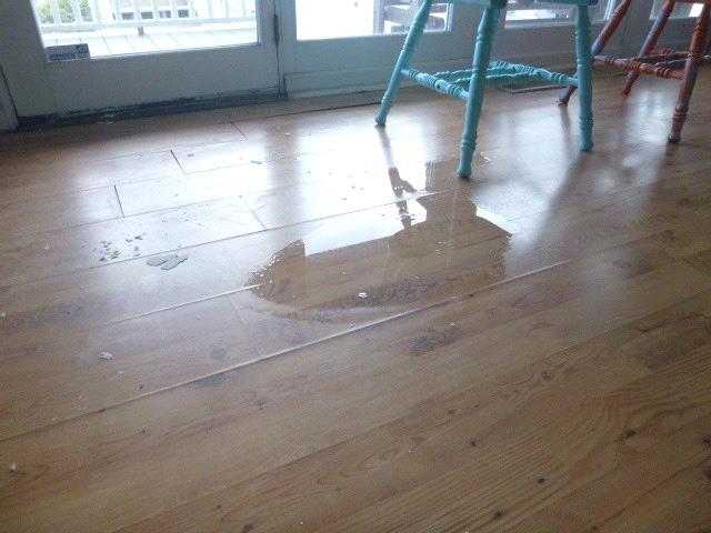 water noted on living room floor