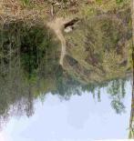 Watershed and Wetland Restoration Bangladesh is experiencing increased erosion in