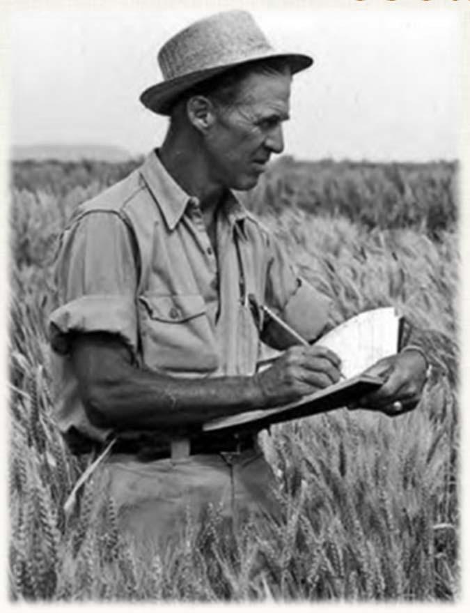 Borlaug Higher Education for Agricultural Research and Development Uganda Ghana Bangladesh