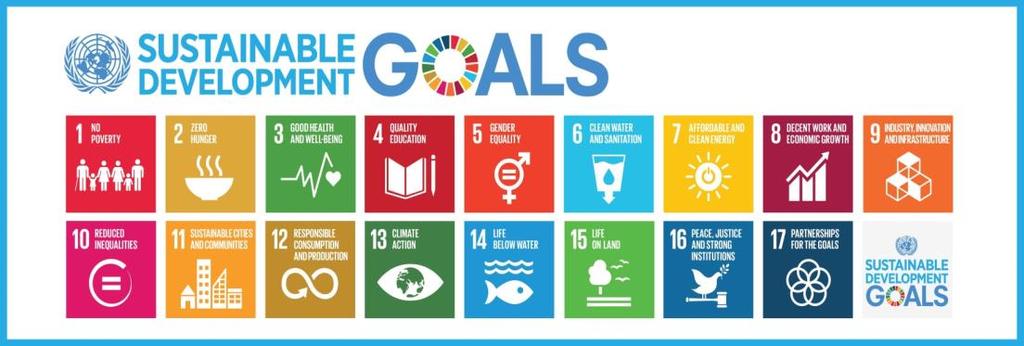 17 Goals 169 Targets Sustainable Development Goals (SDGs) 11 Make Cities and Human