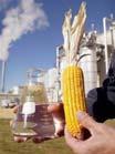 commercial/industrial pellet markets? Corn Ethanol $8./GJ Wind Power Incentives $15.28/GJ Bioheat Pellets $2-4/GJ Incentive Assumptions: Corn Ethanol (.21GJ/L @ $.168/L) based on $.1 federal + $.