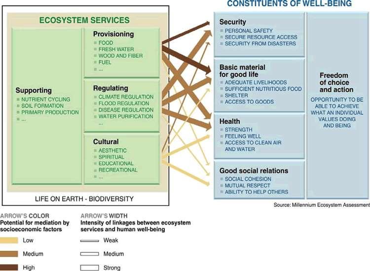 Ecosystem services are