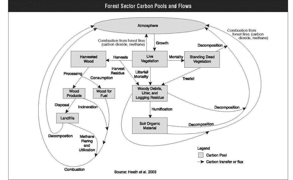 Figure 7-2: Forest Sector Carbon Pools and Flows Approximately 33 percent (304 million hectares) of the U.S. land area is forested (Smith et al. 2009).