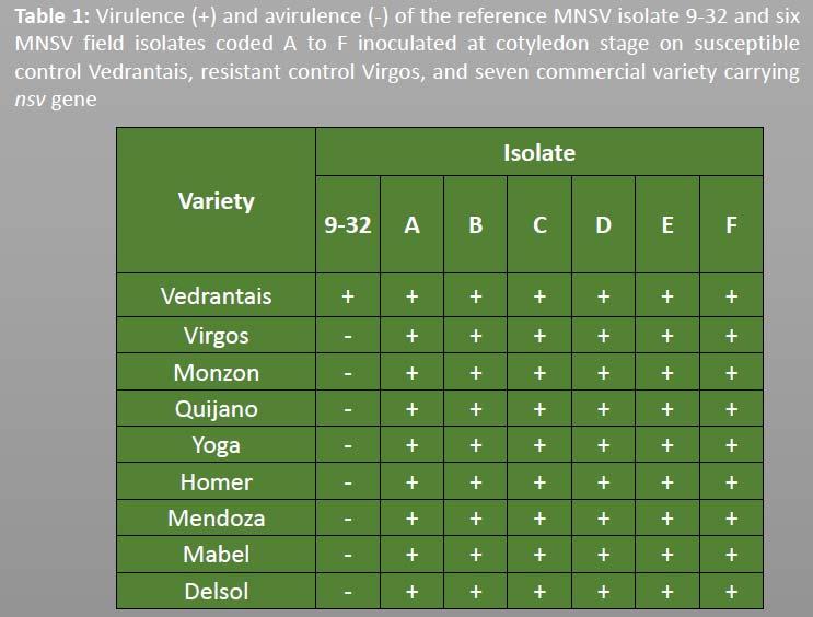 It is then proposed to define as MNSV pathotype 0 (MNSV:0) isolates