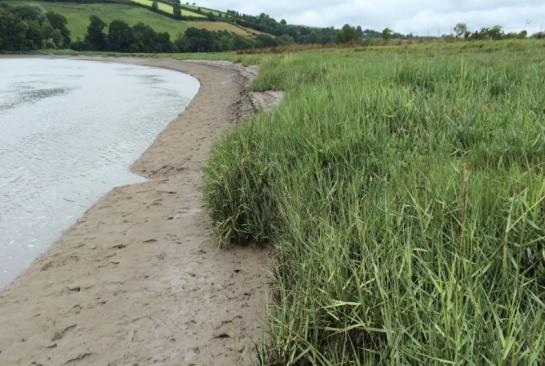 Introduction to CoastWEB & Resilcoast CoastWEB - Valuing the contribution which Coastal habitats make to human health and WEllBeing, with a focus on the alleviation of coastal natural hazards and