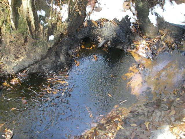 ADEQ Water NPDES Inspection AFIN: No AFIN Permit #: No Permit Water Division NPDES Photographic Evidence Sheet