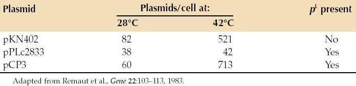 Effect of temperature on the plasmid copy number