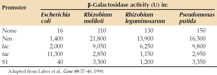 ß-Galactosidase activity expressed by gramnegative bacteria carrying a plasmid vector with the E.