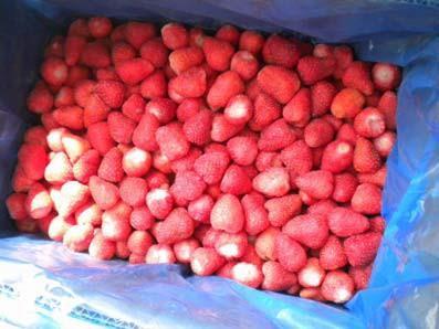 5cm 3. The darselect strawberry was arrived in the factory this morning.