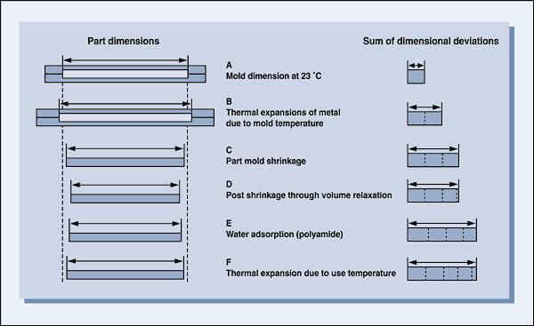 Figure 3: Factors Influencing Dimensions over Time The most important characteristics of the material affecting the dimensions of the molded parts are shrinkage, coefficient of thermal expansion, and