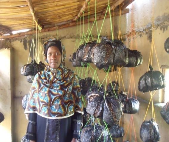 Mushroom cultivation was introduced to farmers as a new income