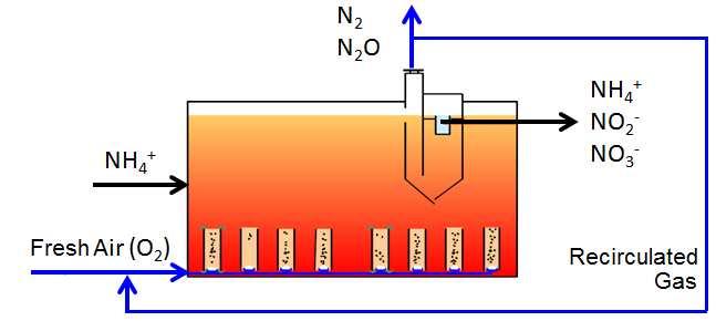 N 2 O emission from one-stage PNA Granular sludge reactor Olburgen (NL) 1-week monitoring campaign Q L,in = 129 m 3.h -1 Air flow rate = 340 gn.
