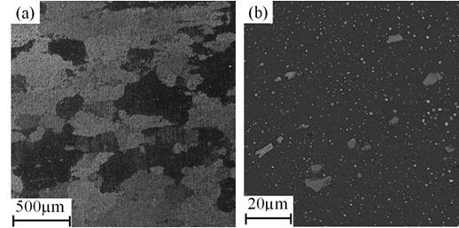H. Alvandi and K. Farmanesh / Procedia Materials Science 11 ( 2015 ) 17 23 19 by twinjet polishing technique using a solution of 400 ml HNO3and 800 ml CH4OH.