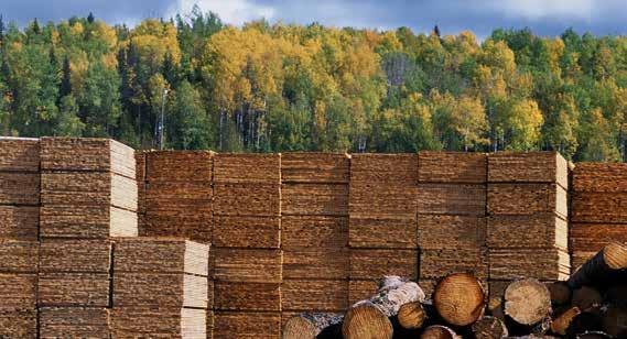 Increasingly, companies ranging from lumber producers to printers, are using certification to back up their claims that the raw materials in their products come from legal, responsible sources.