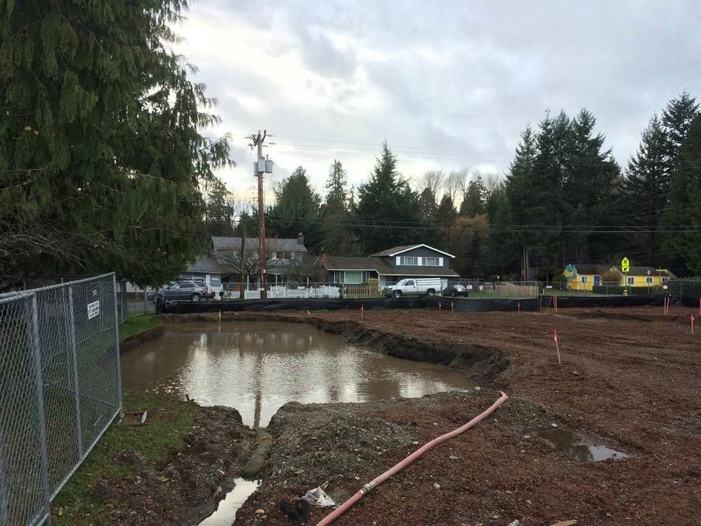 Olympic Hills Elementary School Infiltration/Rain