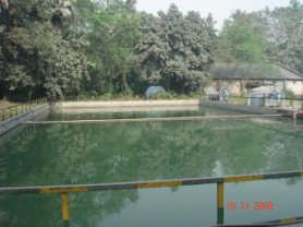 Sustainable Development Rain Water Harvesting: Constructed earthen pond at Colony & concrete reservoir inside plant Use of Treated water from Sewage Treatment plant for plant & colony plantation &