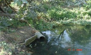 a pond after gravitation filtration process and this water use for gardening and breeding fish