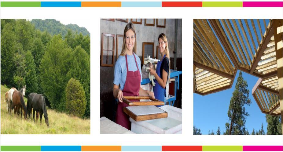 Joint FOREST EUROPE, UNECE, FAO Workshop: Promoting Green Jobs in the Forest Sector June 27-28 in Bratislava, Slovakia Contribuing to implementation of: Madrid Ministerial Resiolution 1: Forest