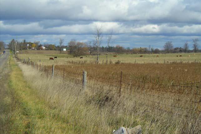 Agriculture Existing Conditions / Base Future Conditions for Agriculture Agriculture in Halton Hills south of 10 th Side Road is comprised of large cash crop and forage crop operations; small market