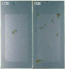 On the other hand, red rust was observed after only cycles for stainless steel and continued to develop as the number of cycles increased.