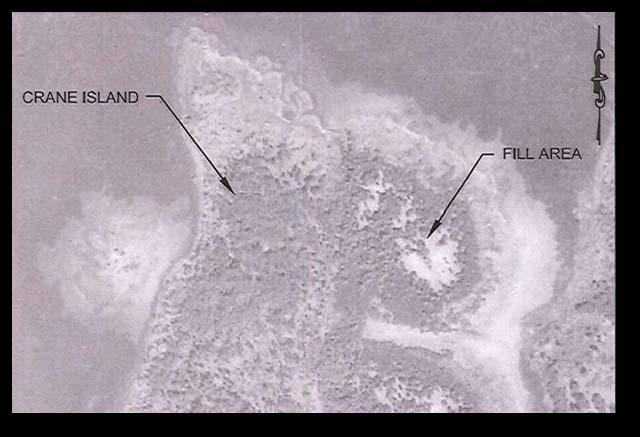 by 5 10 feet of very soft clayey sand 1943 Aerial Photograph Environmental site conditions Narrow band of freshwater