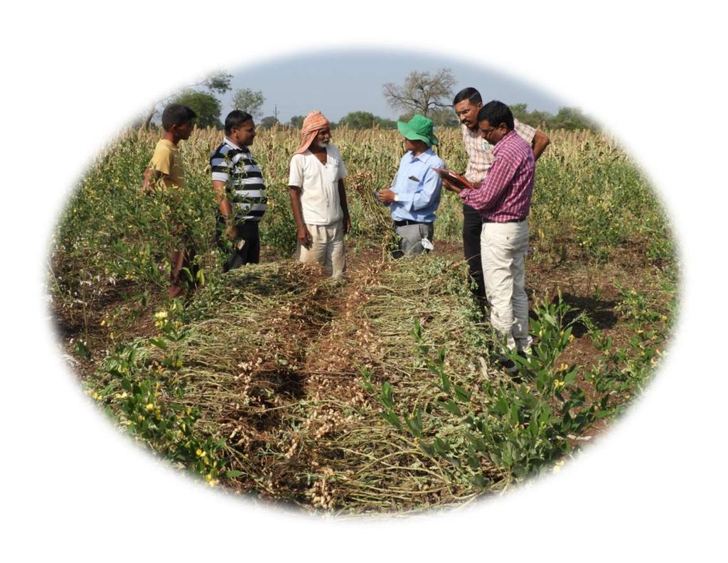 IOPEPC Kharif-2017 Survey of Groundnut Crop Indian