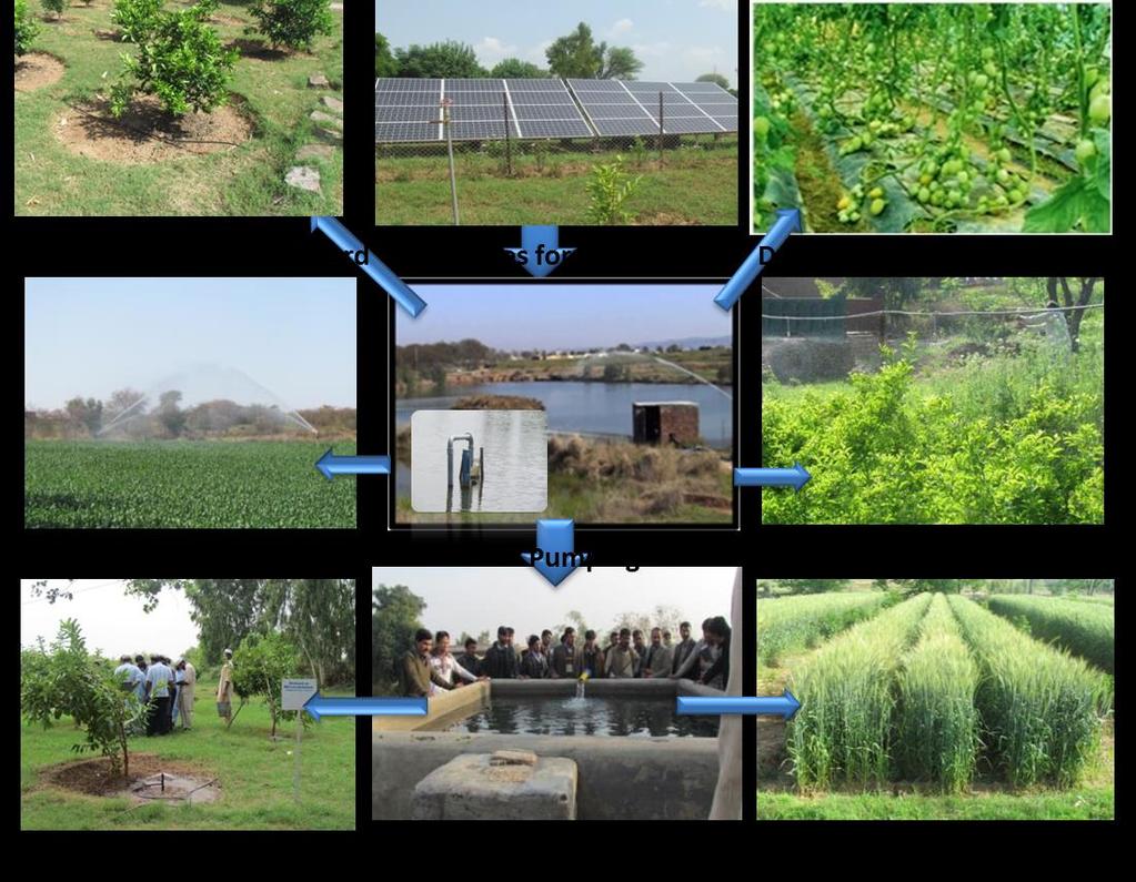 Mini-dam s Command Area Development through Integration of Solar Pump and Irrigation Technologies Issues; Less command areas (20 %) of mini/small dam and inefficient water use Interventions;