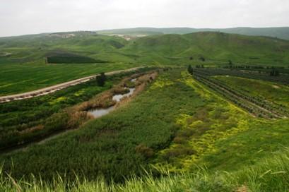 The Demise of the Jordan River 95% of flow diverted Polluted Saline