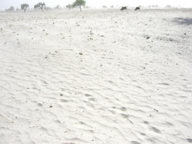 CLIMATE CHANGE IMPACTS IN NAMIBIA; the most arid