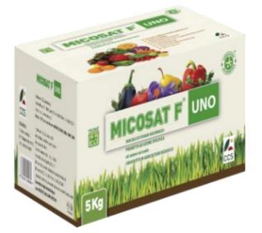 Products, application and doses Micosat F Uno is a highly concentrated inoculum of mycorrhizae, fungi and bacteria, which together contributes to an optimum soil life.