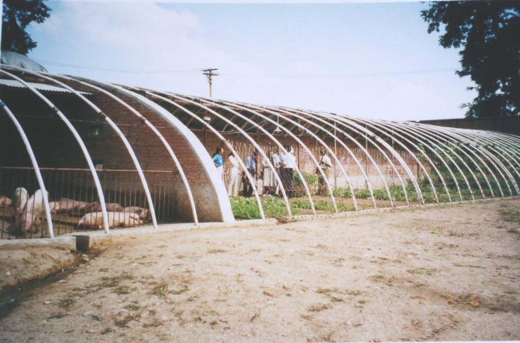 4.Biogas technology lavatory Pig o 2 co 2 greenhouse biogas Biogas Ecosystem Component:Lavatory Pig house