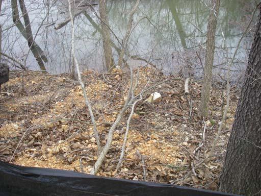Silt fences need to be maintained to prevent sediment from entering into Beaver Lake.