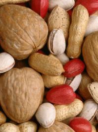 nuts (species