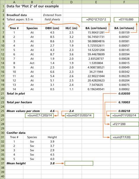 APPENDIX E How to use Excel functions to