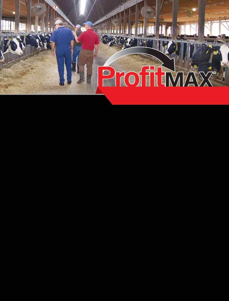 GENETIC STRATEGIES TO MAXIMIZE PROFIT Identify areas to increase profitability Determine proper herd inventories Increase profits from lower-value genetics Create elite replacements from your best