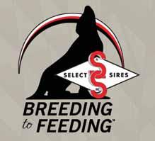 replacement heifers. Select Sires extends custom-made beef sires to the dairy industry to produce a high-value calf.
