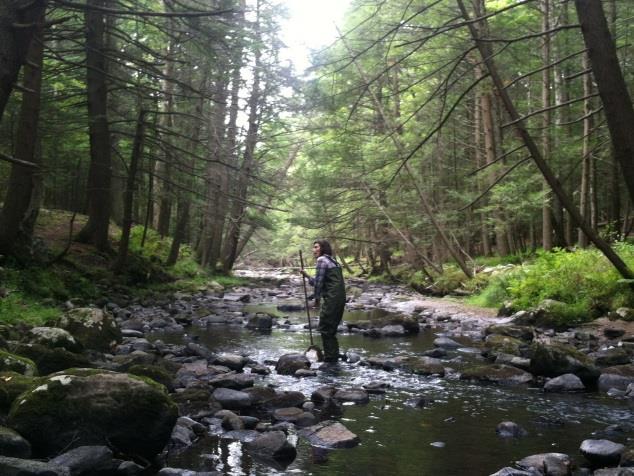 Muddy bottom streams are found in low-lying areas like the Coastal Plains or the Pinelands. The protocol you follow will depend on the type of stream that you are sampling.
