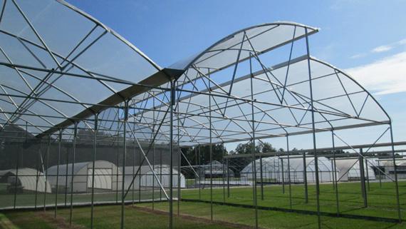 Structure protects your crop from excessive rain and has a roof vent that is always open to
