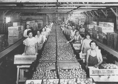 (History Lesson) Enacted in 1938, the FLSA established minimum wage and overtime standards for a large segment of the