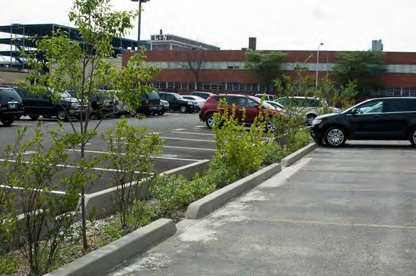 Green Parking Combination of porous paving, reduced lot/space size, and