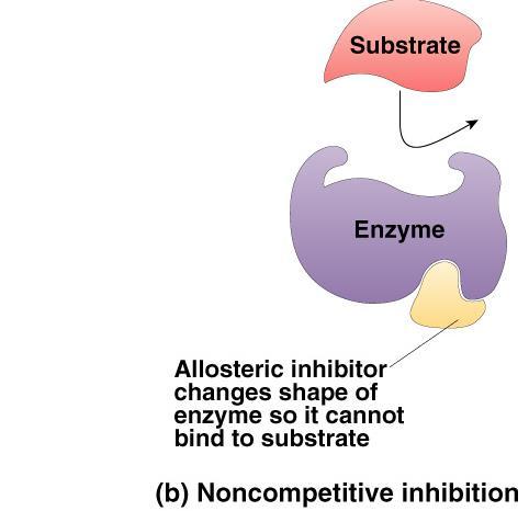 Inhibitor binds to site other than active site which is site (Regulatory site) Allosteric inhibitor o