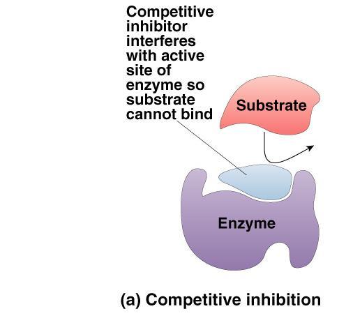 SUBTOPIC : 5.3 Inhibition LEARNING OUTCOMES: Explain the roles and types of inhibitors. Explain reversible inhibition: competitive and non competitive inhibitors. Explain irreversible inhibition.