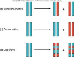 Types of Replication 3.