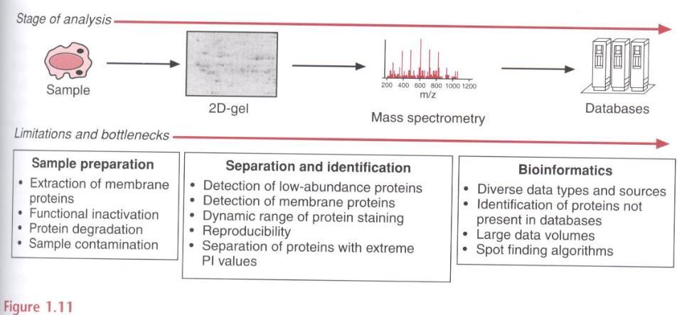 Challenges of proteomics No single technique is suitable for every
